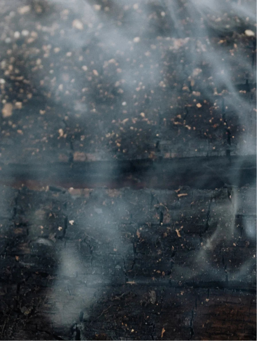 Silk Skin Body Lotion, Spices & Sandalwood - 270 ml