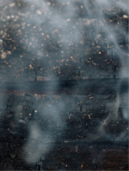 Split Ends Repair Conditioner - 370 ml