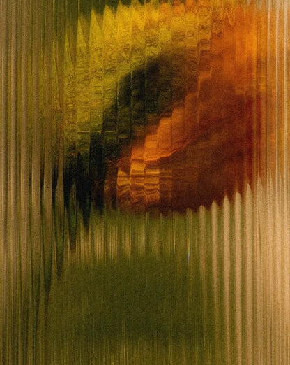 Conditioner met Arganolie en Aloë Vera - 290 ml